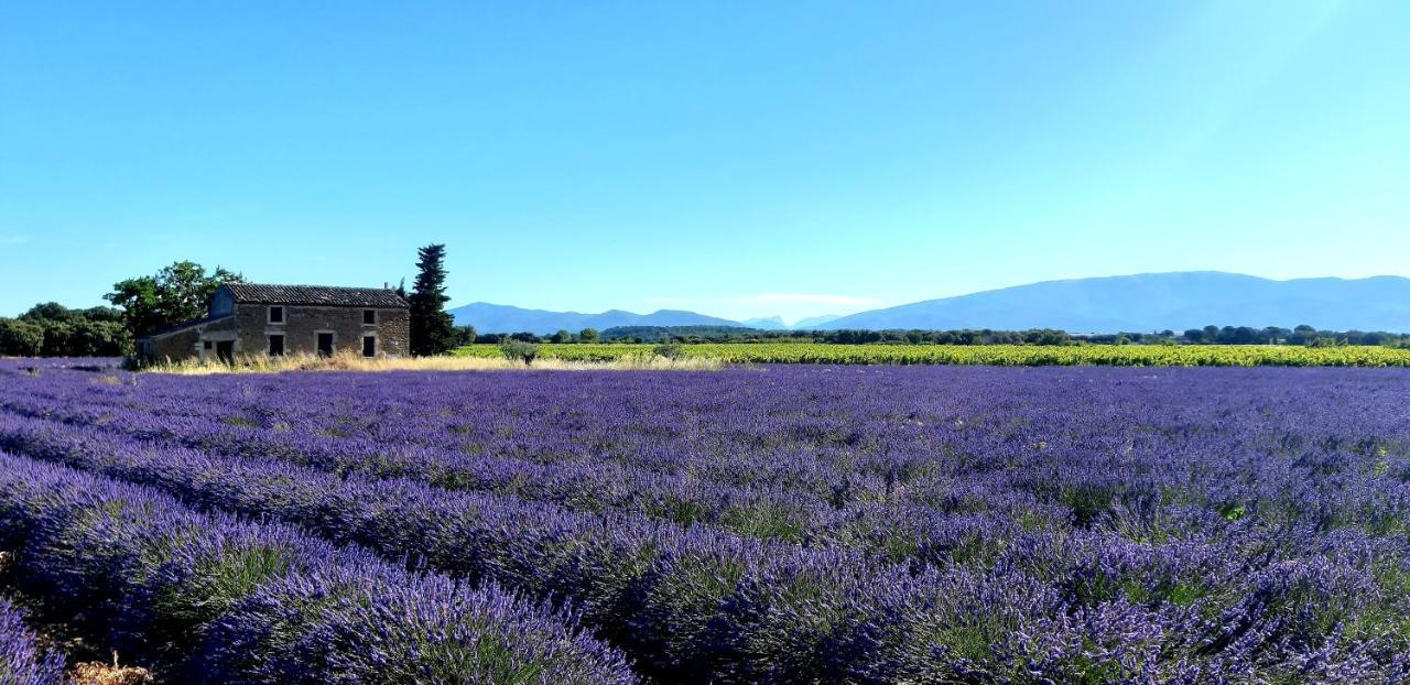 L'Instant Provence Villa Valréas Exterior foto